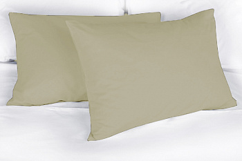 Наволочка поплин 50х70 (1шт) гл/кр шампань Орхидея