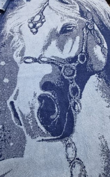 волшебная лошадь 1