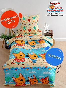 три кота на пляже