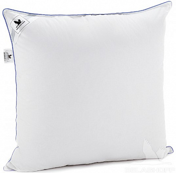 Белашов ника 1