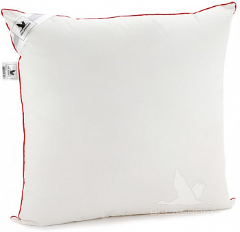 Гармония Белашов 1