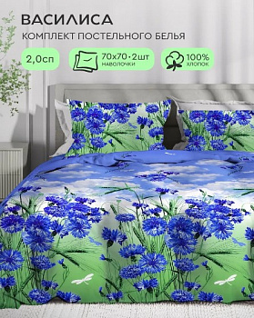 Василиса 2.0