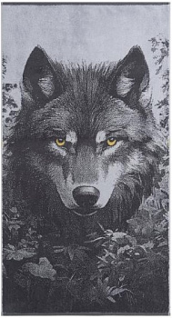 Grey Wolf 1