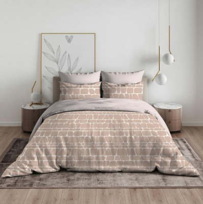 10462_1 Орион 1С