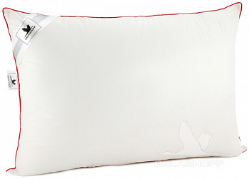 Гармония Белашов 3