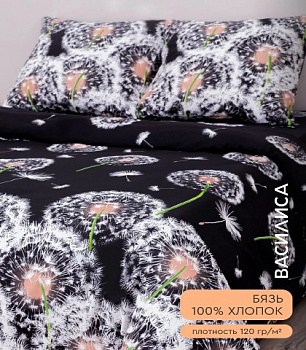 Белые одуванчики Дуэт