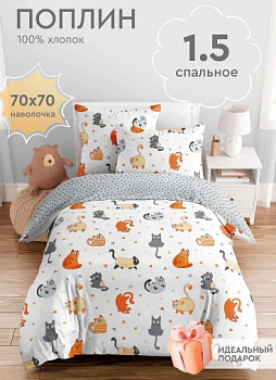 Василек поплин котии