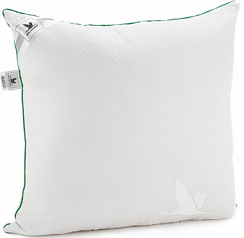 Белашов бамбук 1