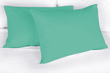 Наволочка поплин 50х70 (1шт) гл/кр мятный Орхидея