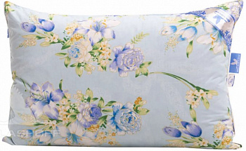 Белашов Неженка 1