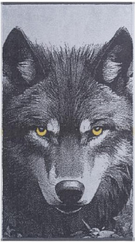 Grey Wolf