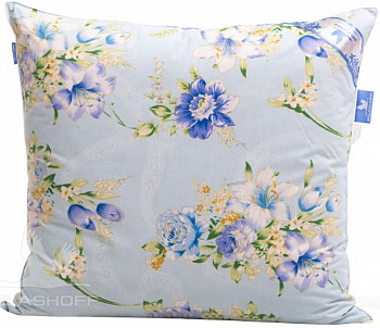 Белашов Неженка 2