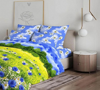 Васильковое поле