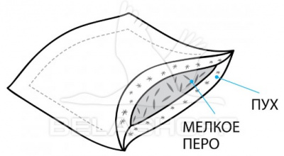 Белашов ника 2