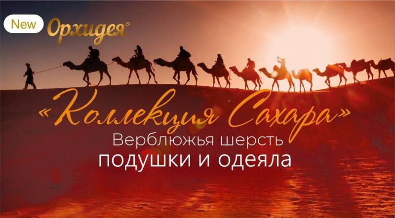 Новинка!  Коллекция подушек и одеял САХАРА ТМ Орхидея