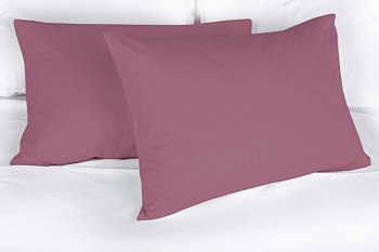 Наволочка поплин 50х70 (1шт) гл/кр брусника Орхидея